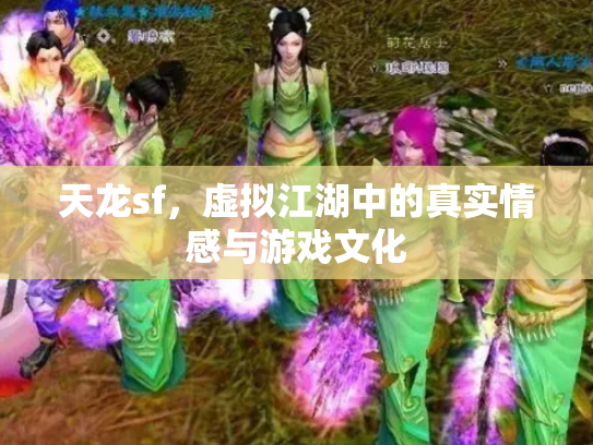 天龙sf，虚拟江湖中的真实情感与游戏文化