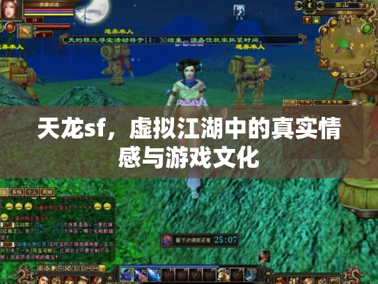 天龙sf，虚拟江湖中的真实情感与游戏文化