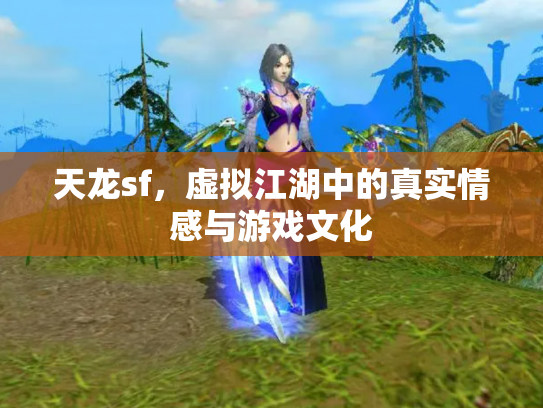 天龙sf，虚拟江湖中的真实情感与游戏文化