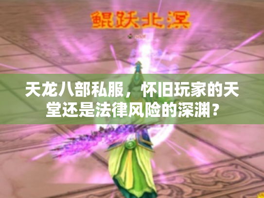 天龙八部私服，怀旧玩家的天堂还是法律风险的深渊？