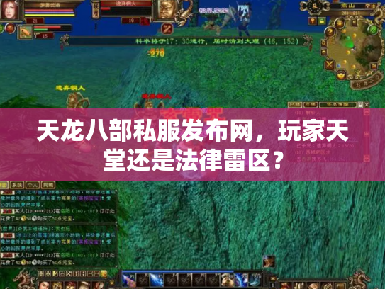 天龙八部私服发布网，玩家天堂还是法律雷区？