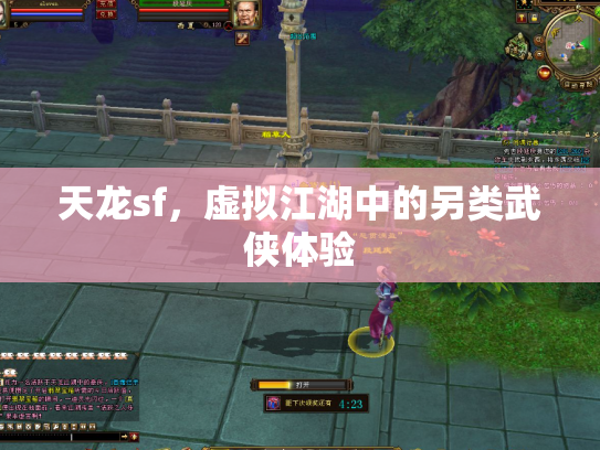 天龙sf，虚拟江湖中的另类武侠体验