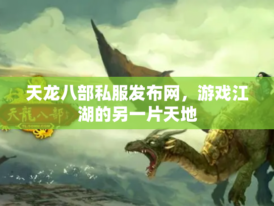 天龙八部私服发布网，游戏江湖的另一片天地