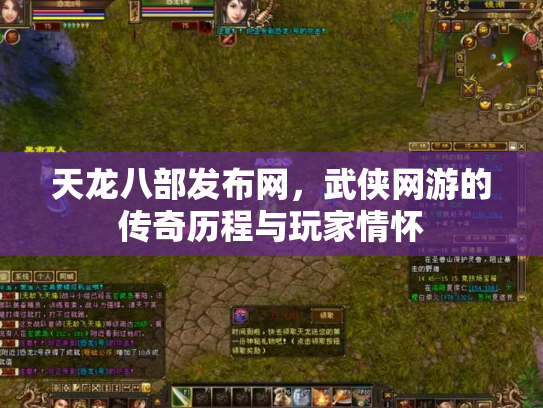 天龙八部发布网，武侠网游的传奇历程与玩家情怀