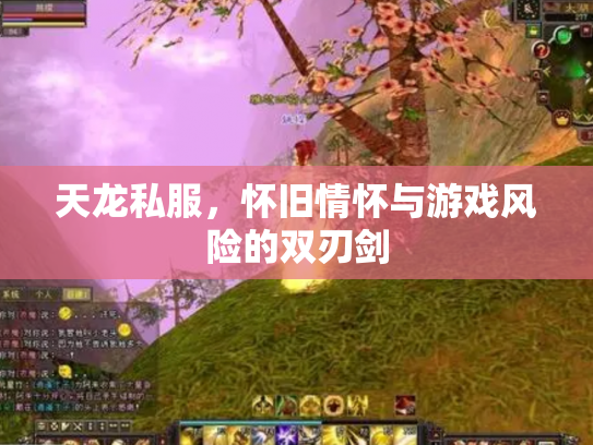 天龙私服，怀旧情怀与游戏风险的双刃剑