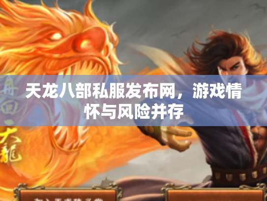 天龙八部私服发布网，游戏情怀与风险并存