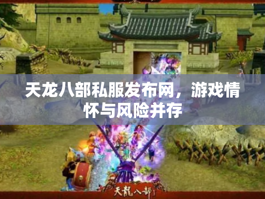 天龙八部私服发布网，游戏情怀与风险并存