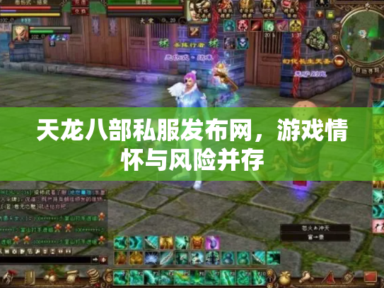 天龙八部私服发布网，游戏情怀与风险并存