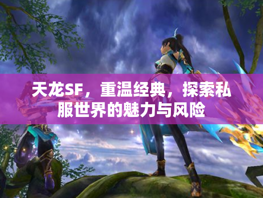 天龙SF，重温经典，探索私服世界的魅力与风险