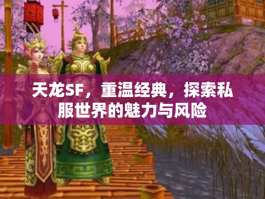 天龙SF，重温经典，探索私服世界的魅力与风险