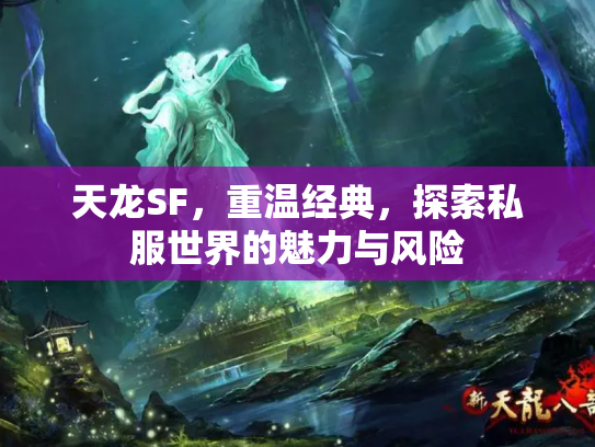 天龙SF，重温经典，探索私服世界的魅力与风险