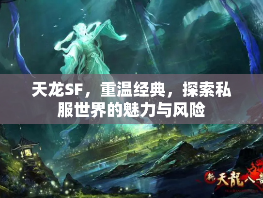 天龙SF，重温经典，探索私服世界的魅力与风险