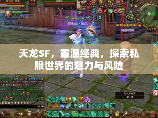天龙SF，重温经典，探索私服世界的魅力与风险