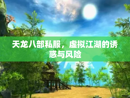 天龙八部私服，虚拟江湖的诱惑与风险
