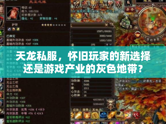 天龙私服，怀旧玩家的新选择还是游戏产业的灰色地带？