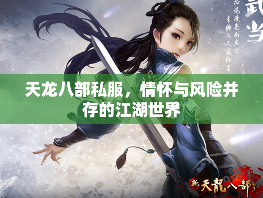 天龙八部私服，情怀与风险并存的江湖世界