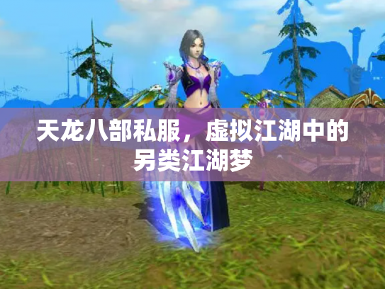 天龙八部私服，虚拟江湖中的另类江湖梦