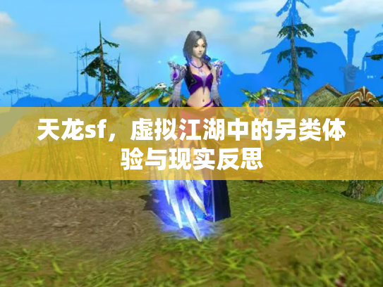 天龙sf，虚拟江湖中的另类体验与现实反思