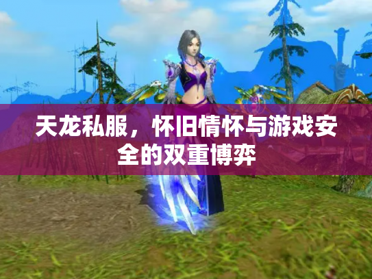 天龙私服，怀旧情怀与游戏安全的双重博弈