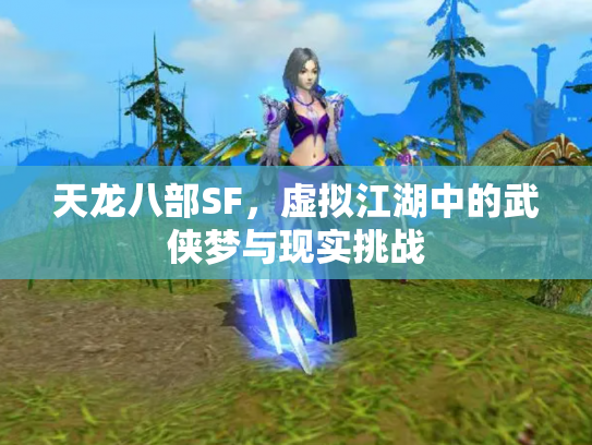 天龙八部SF，虚拟江湖中的武侠梦与现实挑战