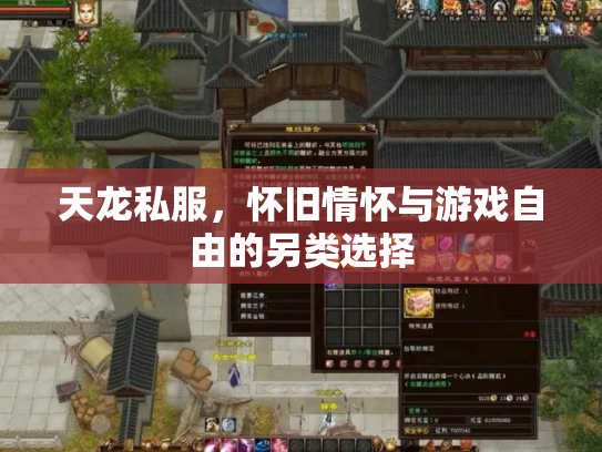 天龙私服，怀旧情怀与游戏自由的另类选择