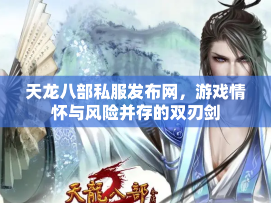 天龙八部私服发布网，游戏情怀与风险并存的双刃剑