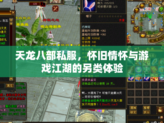 天龙八部私服，怀旧情怀与游戏江湖的另类体验