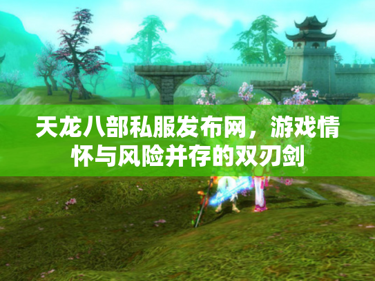 天龙八部私服发布网，游戏情怀与风险并存的双刃剑