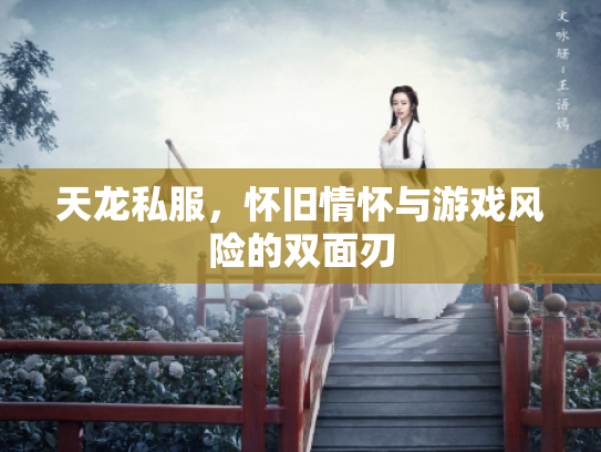 天龙私服，怀旧情怀与游戏风险的双面刃