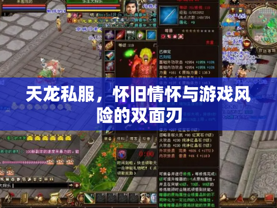 天龙私服，怀旧情怀与游戏风险的双面刃