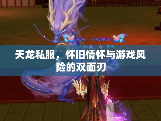 天龙私服，怀旧情怀与游戏风险的双面刃