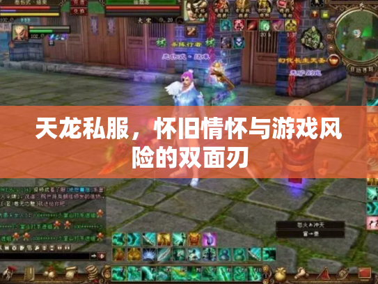 天龙私服，怀旧情怀与游戏风险的双面刃