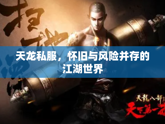 天龙私服，怀旧与风险并存的江湖世界