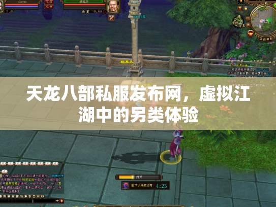 天龙八部私服发布网，虚拟江湖中的另类体验