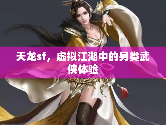 天龙sf，虚拟江湖中的另类武侠体验