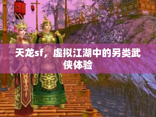 天龙sf，虚拟江湖中的另类武侠体验