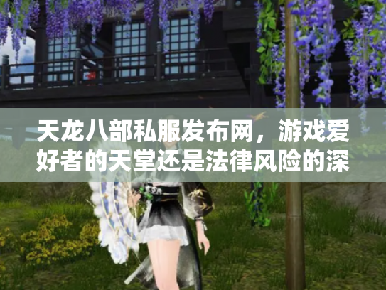 天龙八部私服发布网，游戏爱好者的天堂还是法律风险的深渊？