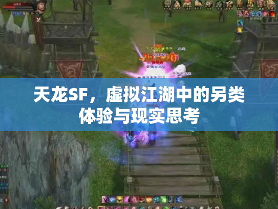 天龙SF，虚拟江湖中的另类体验与现实思考