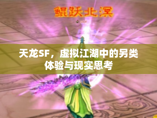 天龙SF，虚拟江湖中的另类体验与现实思考