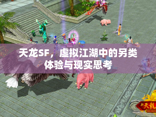 天龙SF，虚拟江湖中的另类体验与现实思考