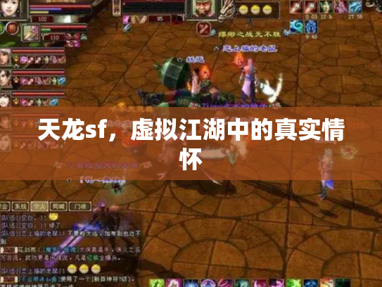 天龙sf，虚拟江湖中的真实情怀