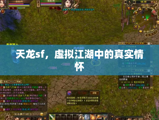 天龙sf，虚拟江湖中的真实情怀