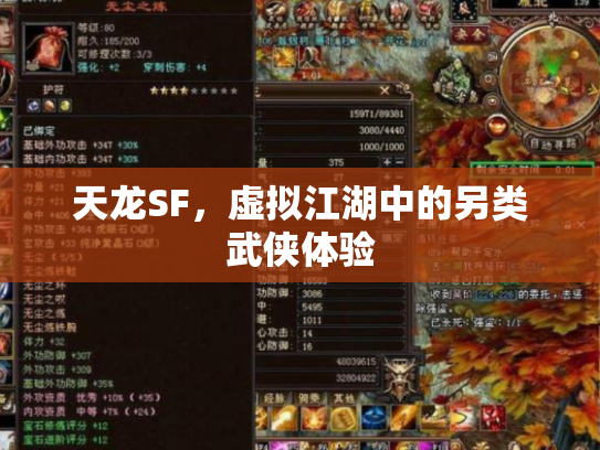 天龙SF，虚拟江湖中的另类武侠体验