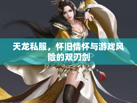 天龙私服，怀旧情怀与游戏风险的双刃剑