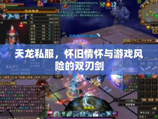 天龙私服，怀旧情怀与游戏风险的双刃剑
