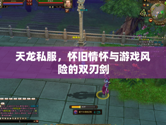 天龙私服，怀旧情怀与游戏风险的双刃剑