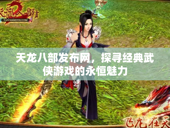 天龙八部发布网，探寻经典武侠游戏的永恒魅力