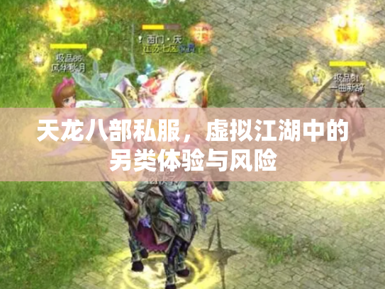 天龙八部私服，虚拟江湖中的另类体验与风险