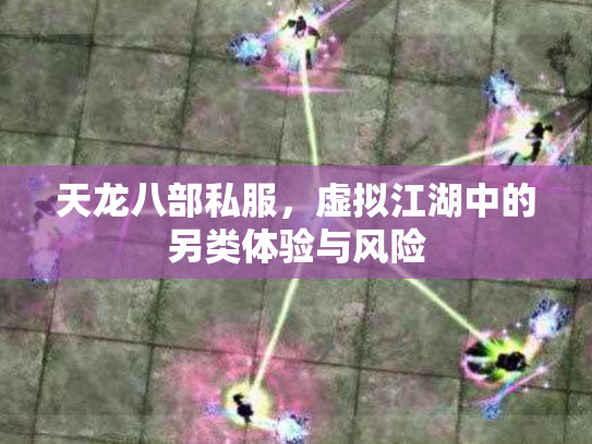 天龙八部私服，虚拟江湖中的另类体验与风险