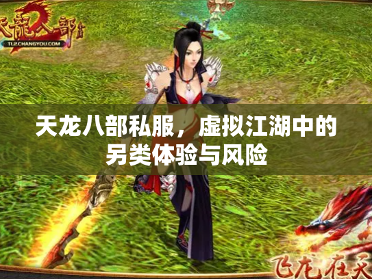 天龙八部私服，虚拟江湖中的另类体验与风险